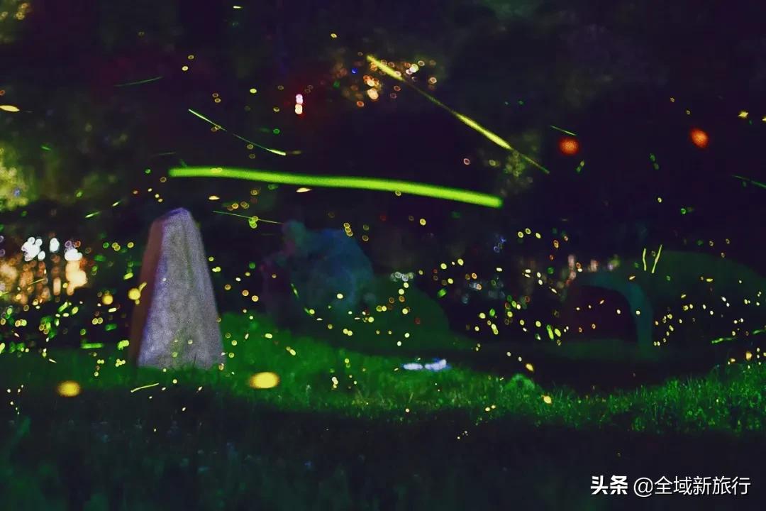 萤耀七夕心意行动|给你一生一次的心意动