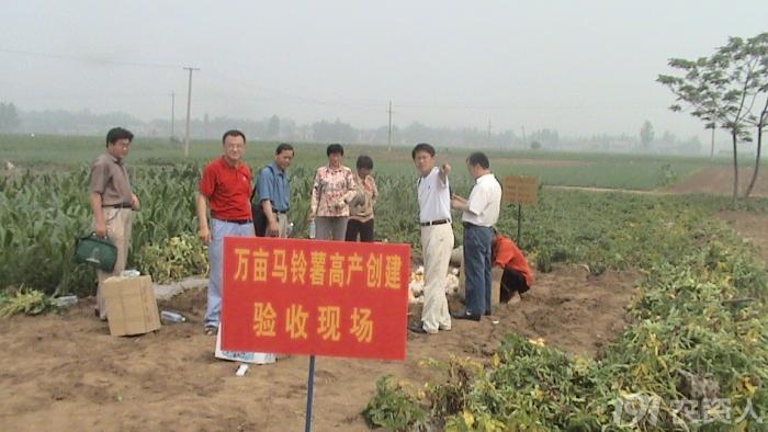 马铃薯主要栽培技术要点,马铃薯地膜覆盖高产栽培技术