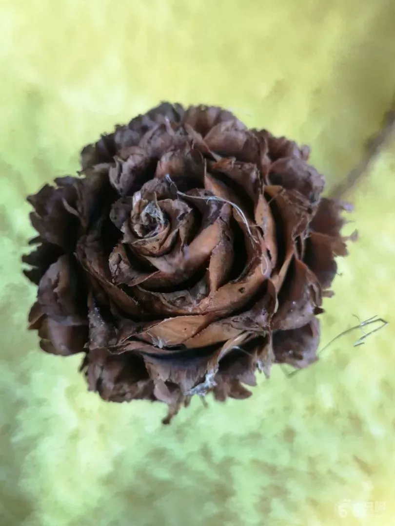 过年不知道去哪里玩的看过来,假期不知道去哪里玩的看过来