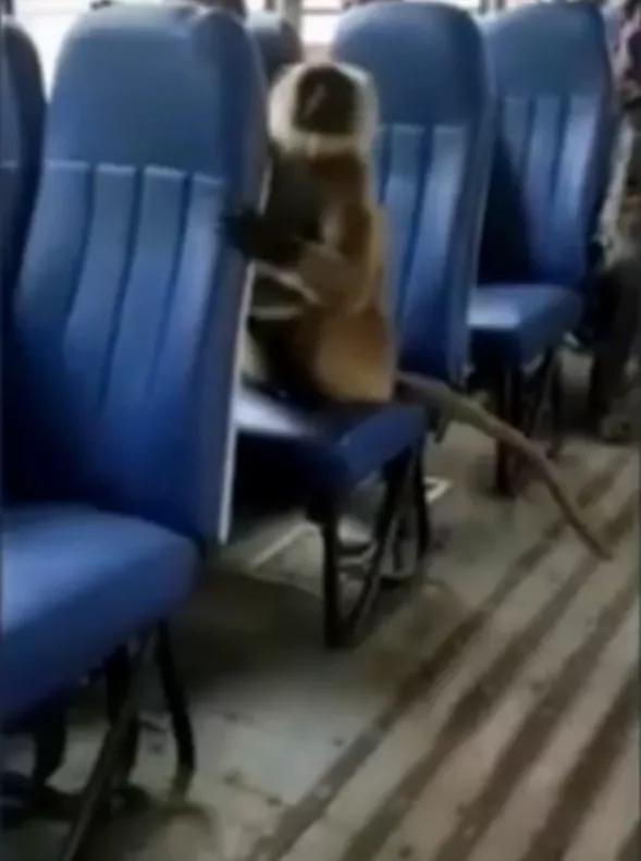 有个“球”用！韩国用气球向朝鲜发50万份传单｜趣观世界