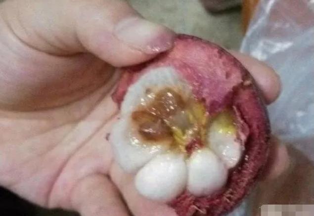 山竹里边有黄的是坏了吗,山竹里有黄浆是什么原因