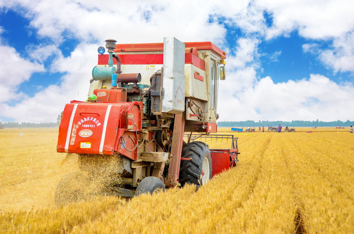 玉米小麦大豆未来是涨是跌,现在玉米小麦什么价大豆什么价