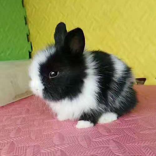 疫情的情况下做什么比较适合,疫情这几年最适合做的事情