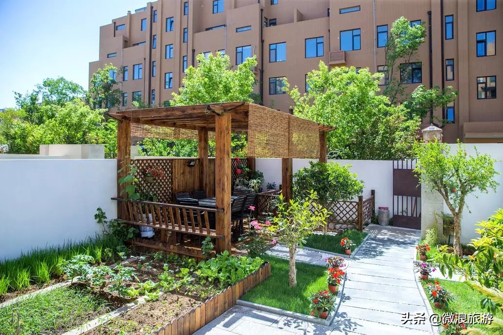 白鹭湾的“选美大赛”，谁是你心中最美的“姑娘”