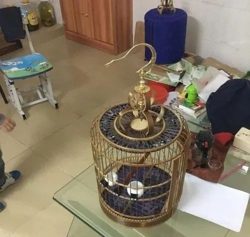 画眉鸟笼具怎么挑选,画眉鸟笼的选择