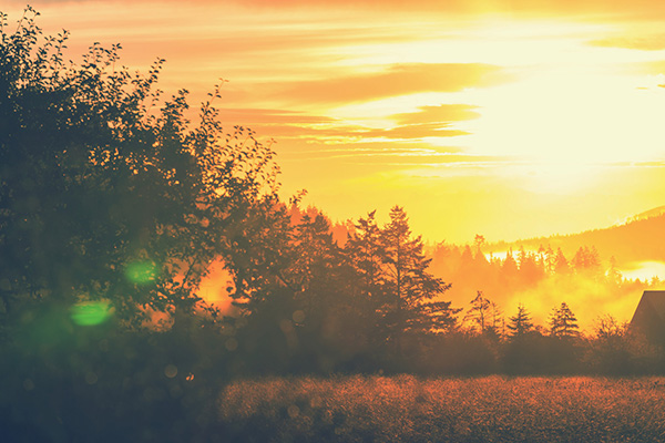 今日秋分秋色平分岁月无恙,秋分已过秋意渐浓又闻桂花香
