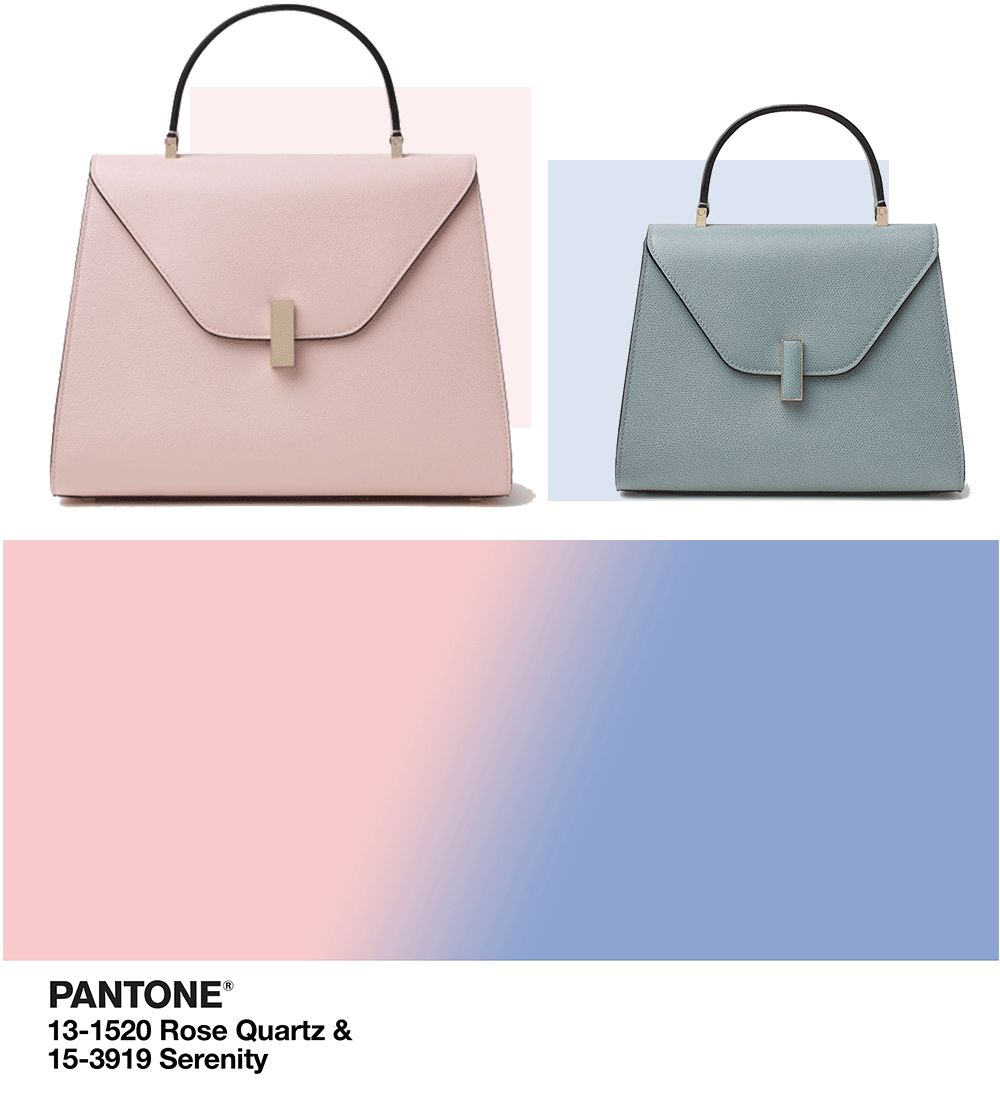 苏家女人买的包，都够买一套房了吧？