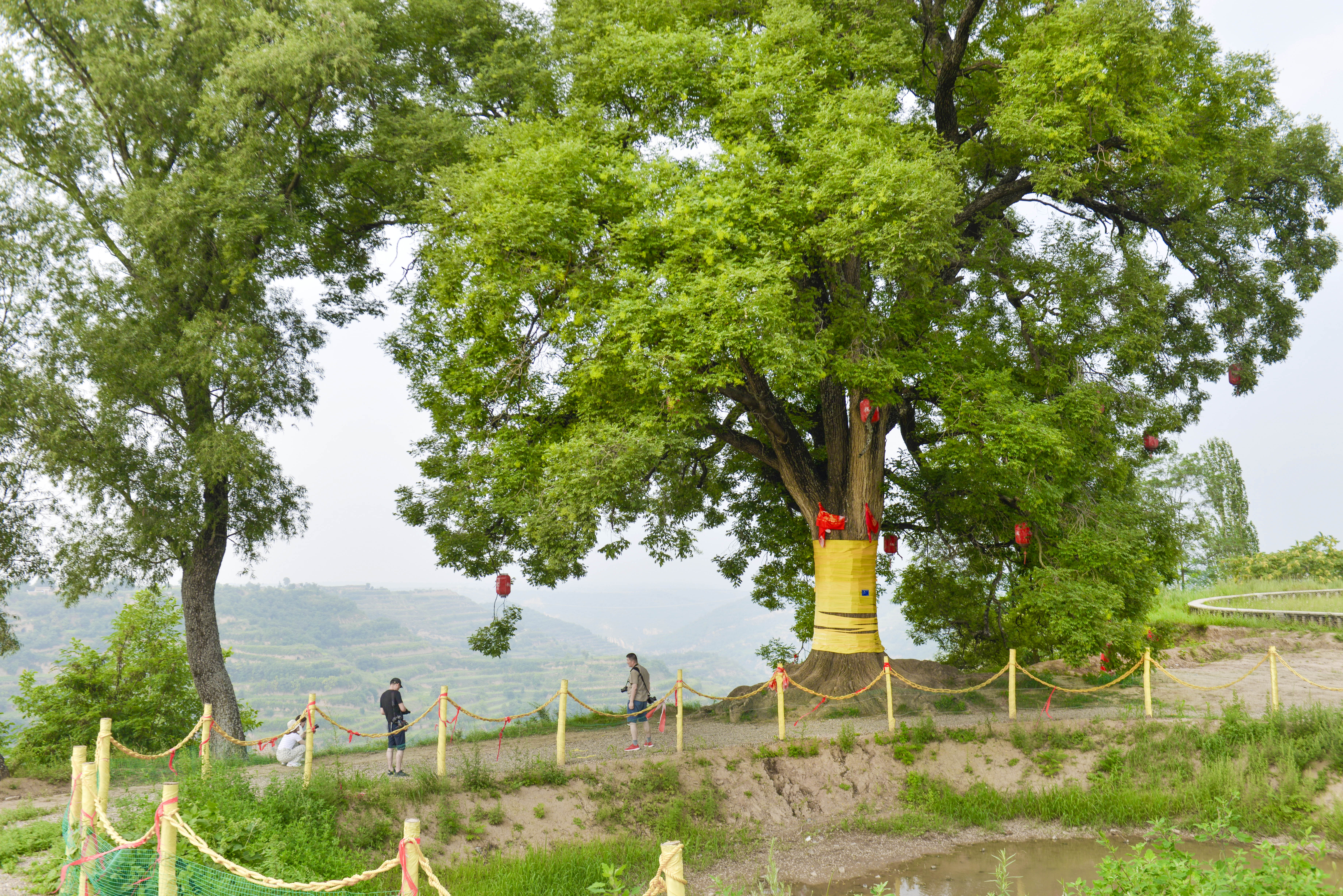 鹑觚怎么读意思是什么,鹑觚这两个字怎么读