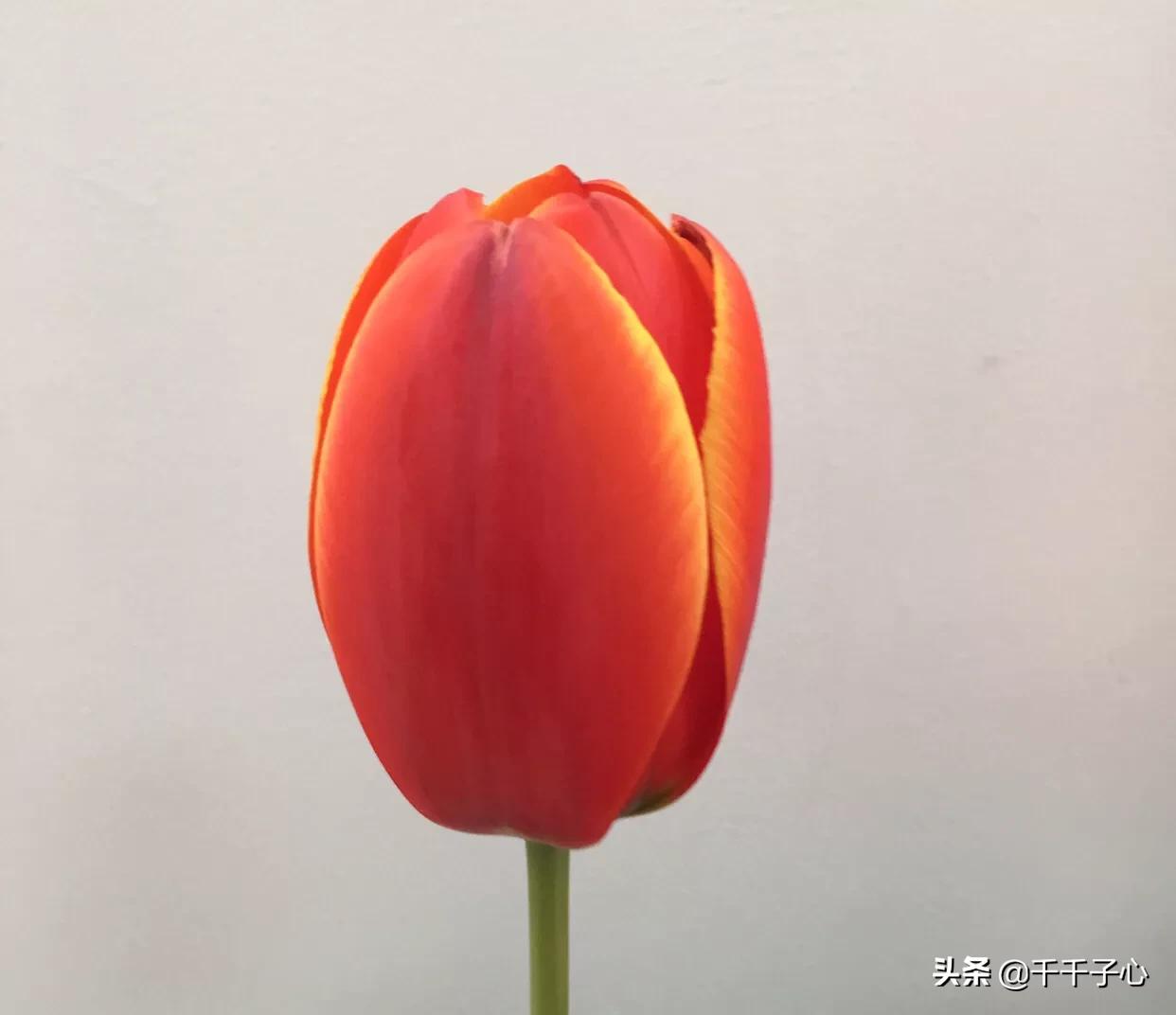 初恋约我见面我要去吗,如果初恋来找你怎么办