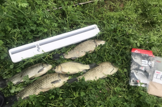 水一肥，我就只用这钓法，百用百灵，知道的人绝非泛泛之辈