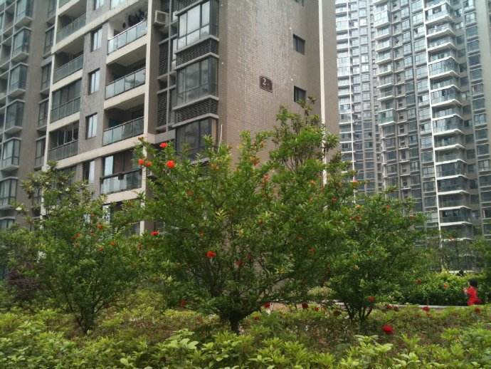 这3个地方一定不能错过,养花基地最近的地方