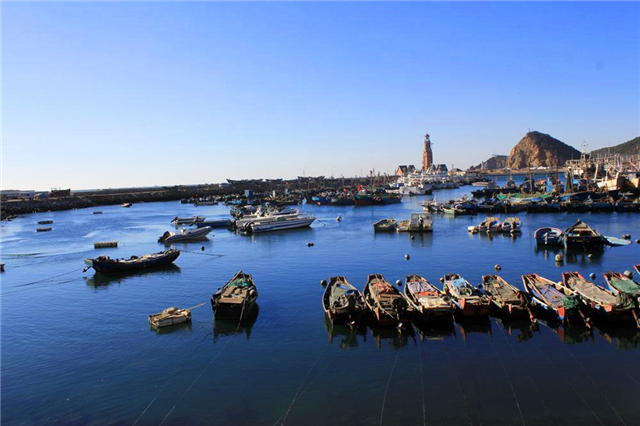 大连北方香港,北方香港大连