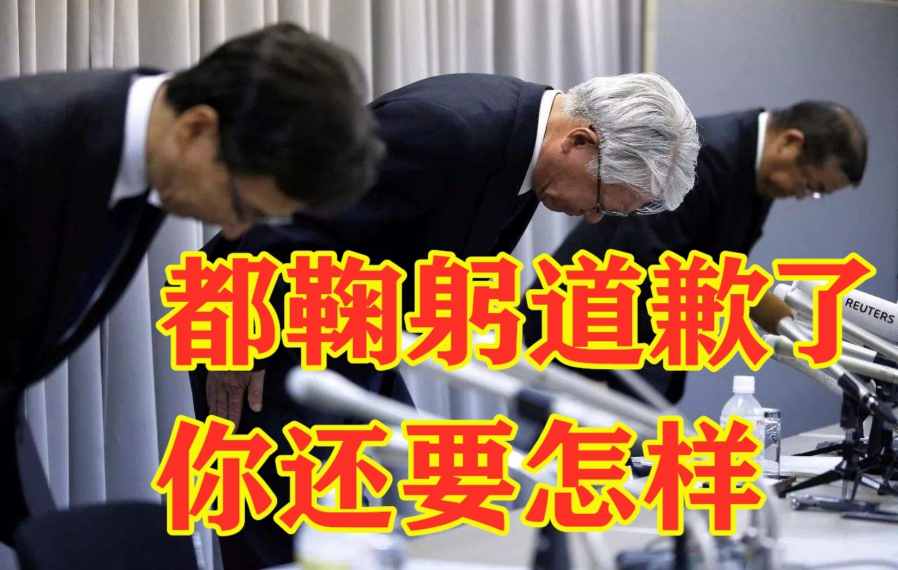 日本名企买中国高科技产品“贴牌”，糊弄欧美客户