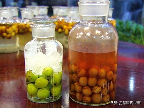 侯卫东官场笔记曲子,侯卫东官场杂记小说