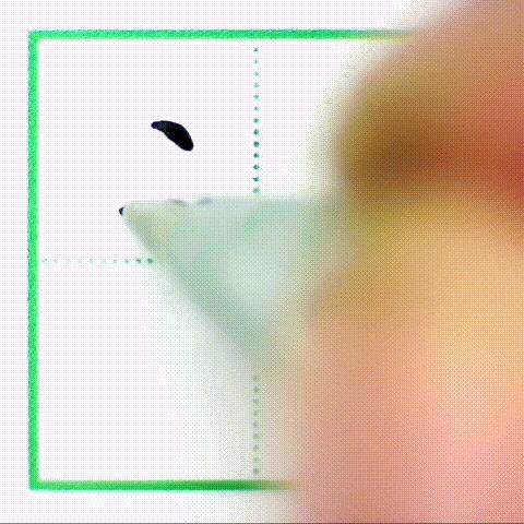 二年级下册写字表带拼音组词,小学二年级语文下册写字表全部