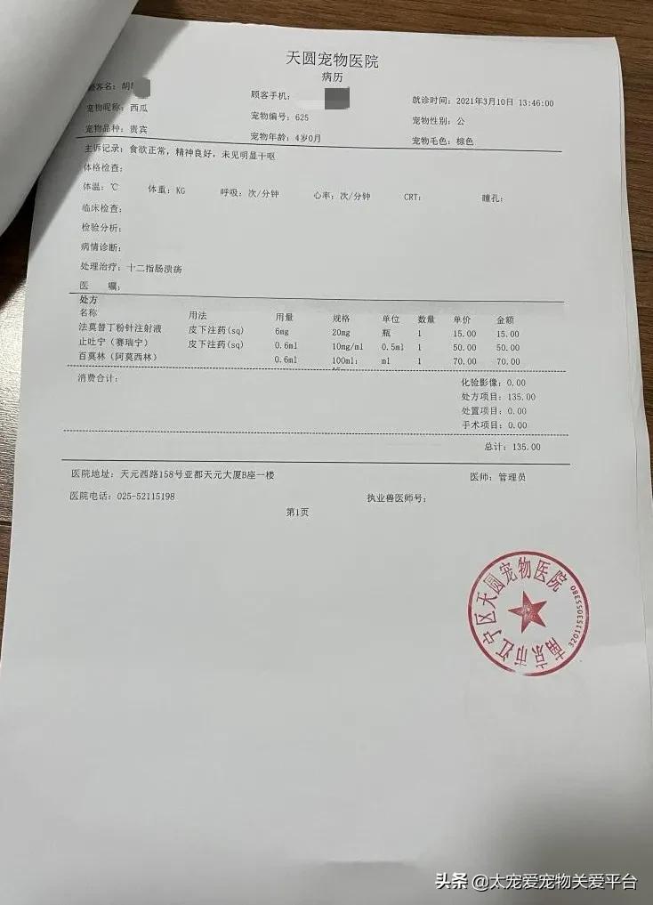 十二指肠溃疡丨太宠爱理赔案例南京天圆宠物医院