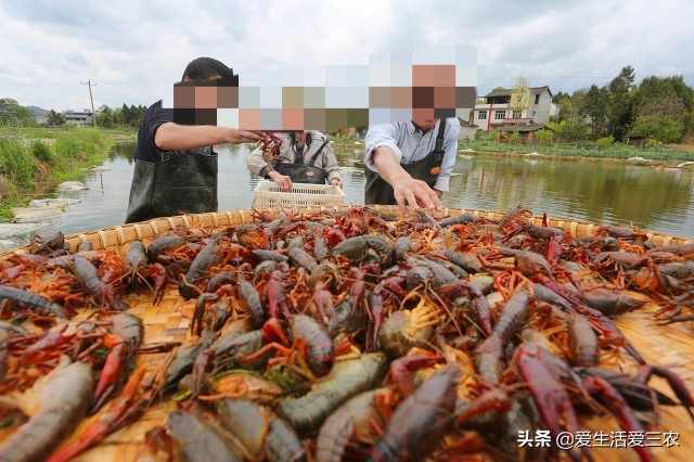 适合农村夫妻小本加工项目,农村小本创业项目大全