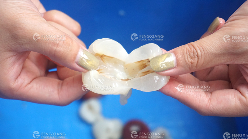 水果去核机,果农赚钱利器