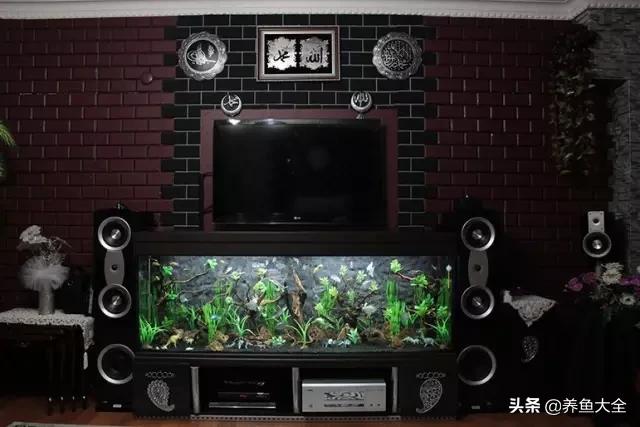 电视柜养鱼,电视柜旁边养鱼好不好