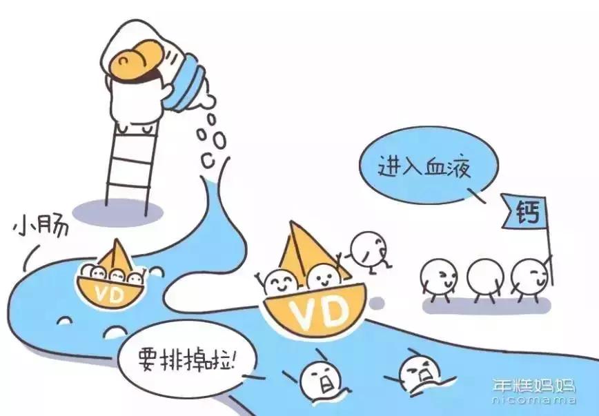 孕期补钙有疑问看这一篇就够了,孕期补钙原来有这4个窍诀