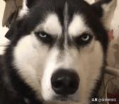 我的成都学区房购买之路：从大热的天府新区转战高新五区