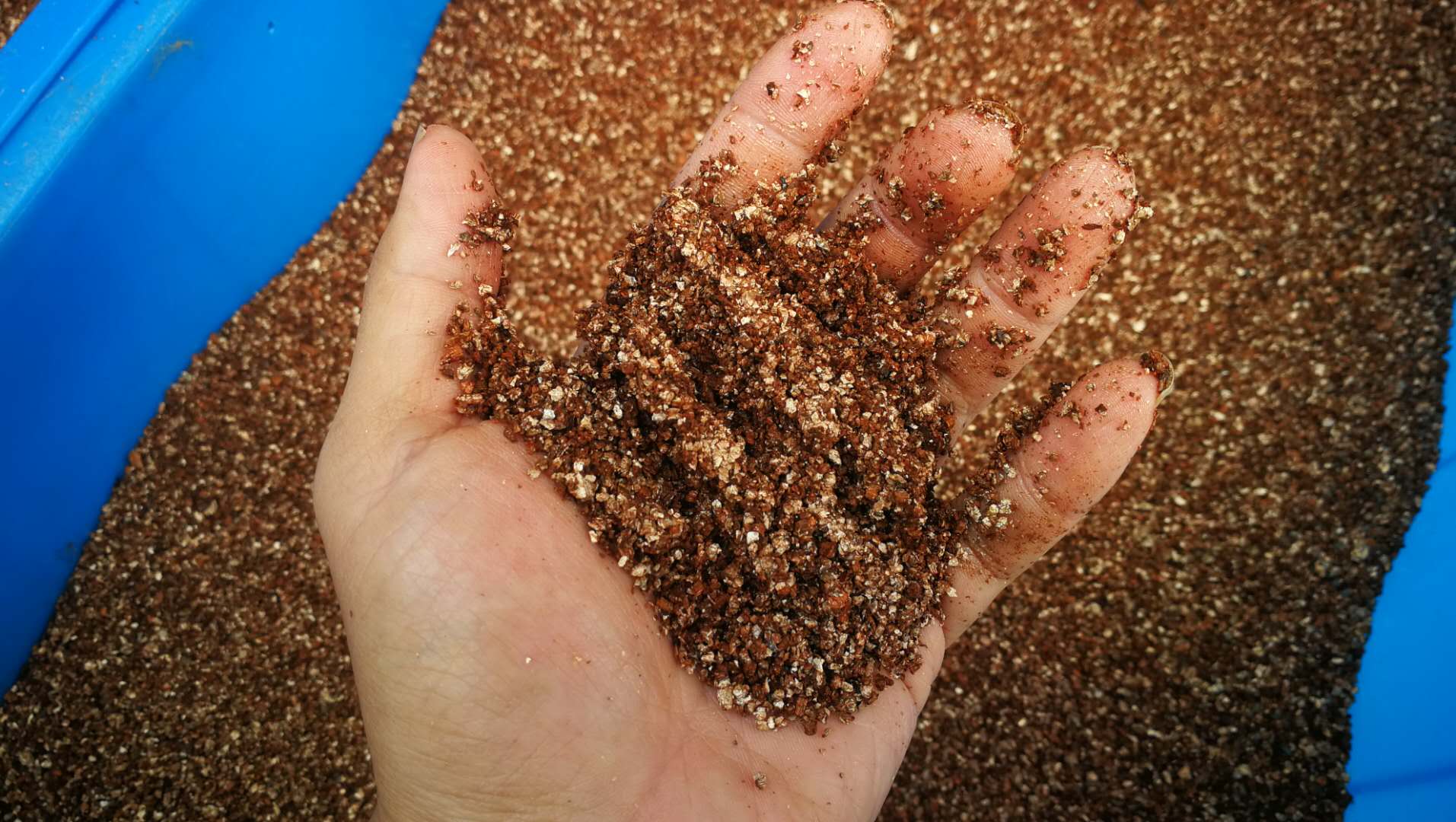 乌龟蛋破壳而出的时候,乌龟蛋在沙里没有挖出来