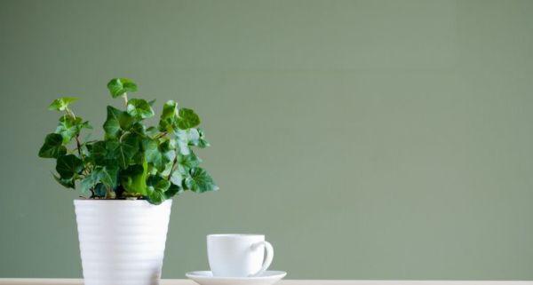 爱生气的人明白这三点就不生气了,容易生气的人要怎么控制情绪