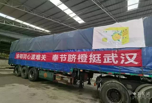 重庆，求求你不要再低调了