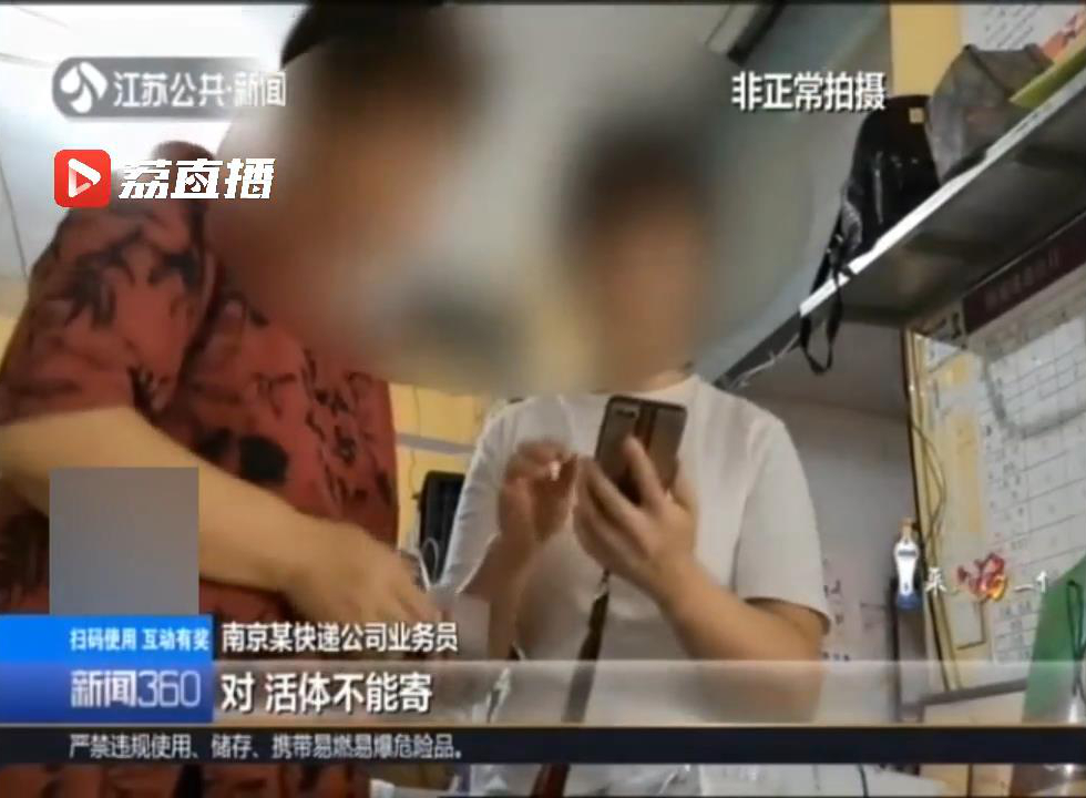 邮寄活宠物狗,邮寄活的动物