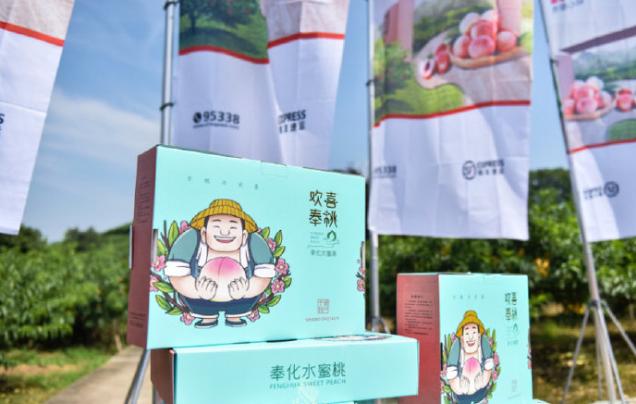 可以喝的桃子!被一颗水蜜桃引爆的亿元“桃经济”