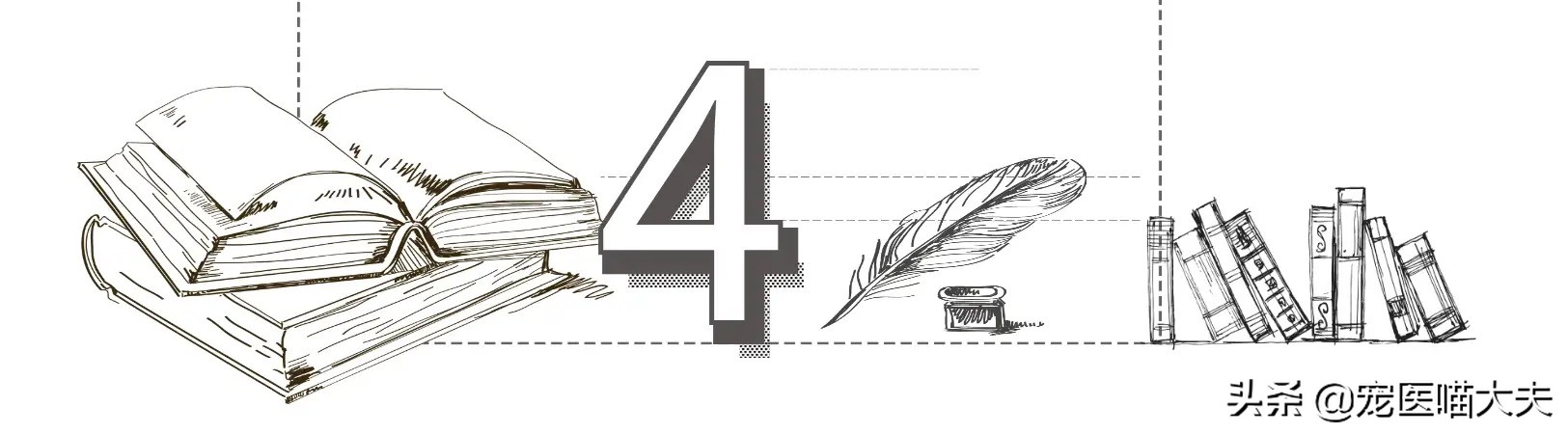 详解猫狗大战的几大原因,猫狗打架狗受伤了怎么处理