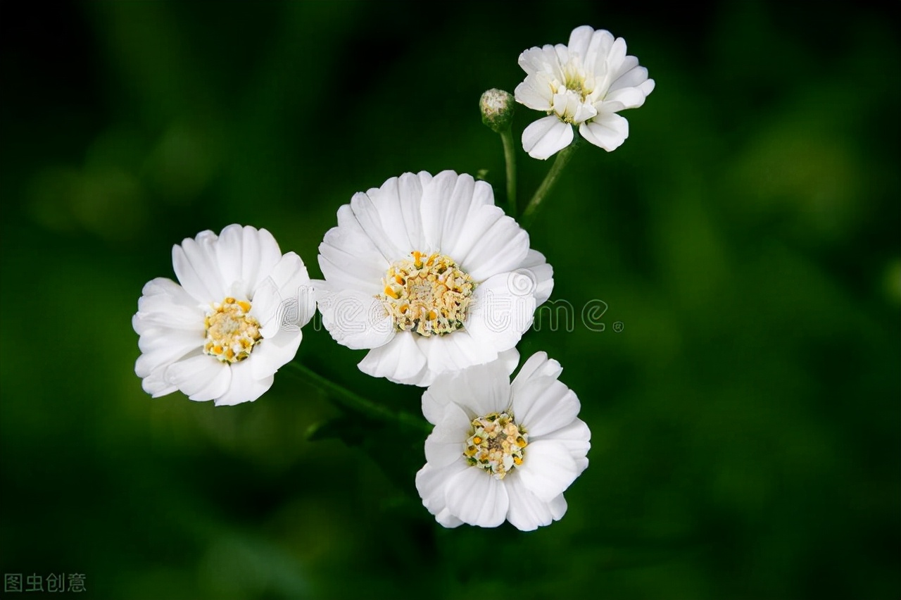 退休老阿姨人生感悟,58岁退休老阿姨人生感悟