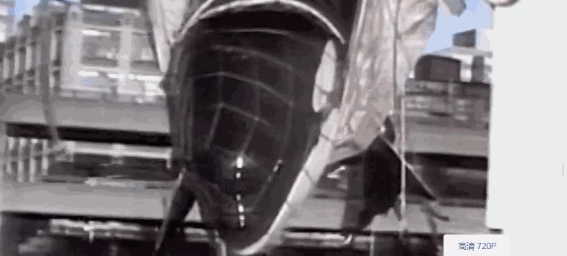 海洋馆的海洋动物表演,小孩子看的海洋动物视频