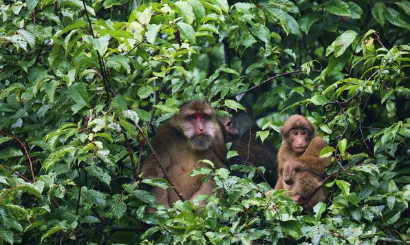 乐山稀奇古怪的地方,乐山大佛恐怖景点