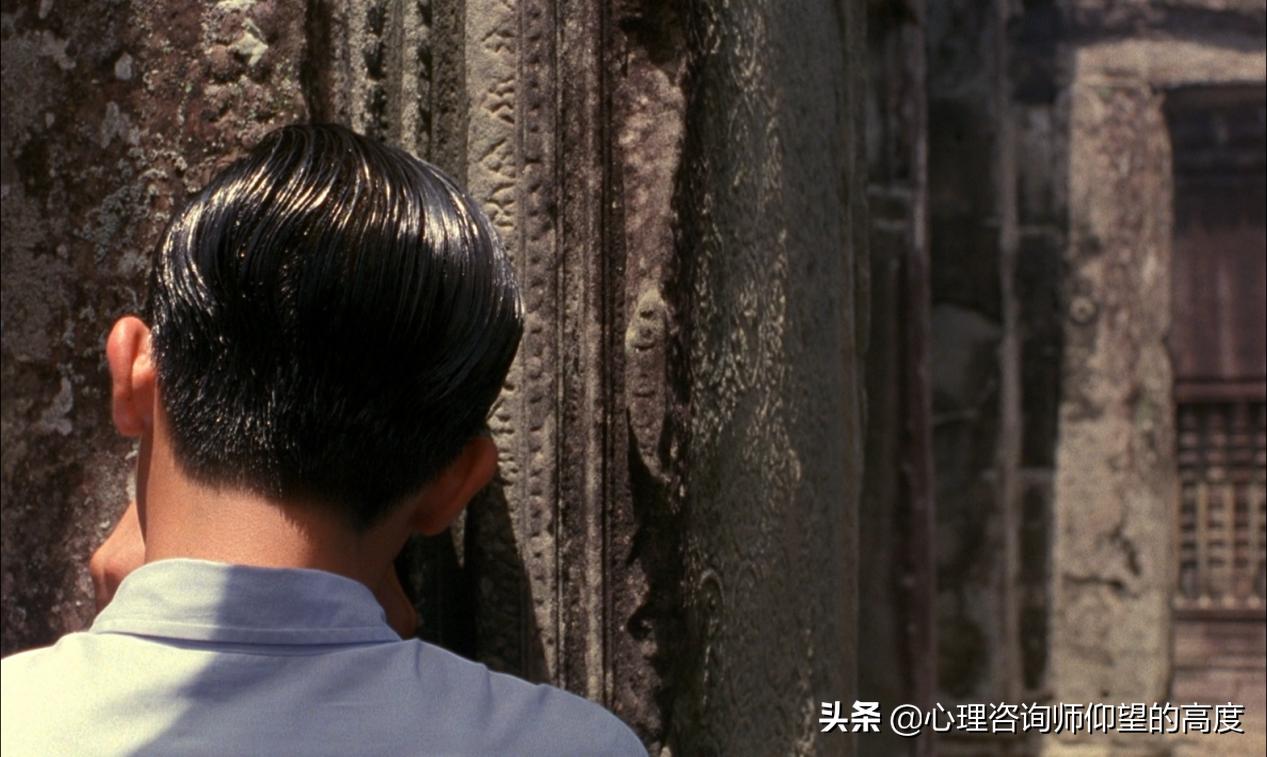 最好的树洞是什么,生活中的树洞是什么