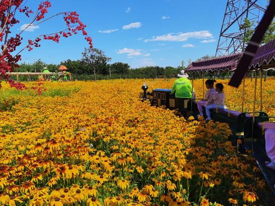 北京附近有什么亲子农场适合遛娃,北京亲子游玩农场推荐地点有哪些