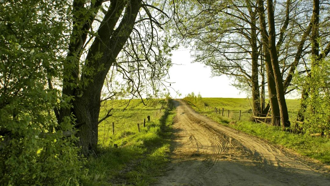 生活感悟与你分享,生活感悟和感想
