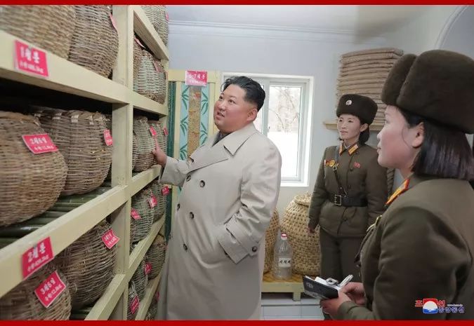 高颜值的朝鲜女兵,70年代朝鲜女兵