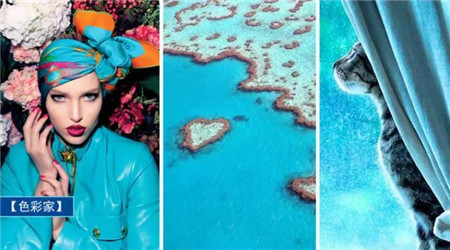 我的蓝朋友原版视频,我的蓝朋友免费完整