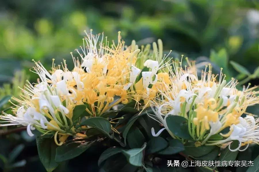 小爱医生---“特应性皮炎”“湿疹”宝宝，想说爱你真的不容易…