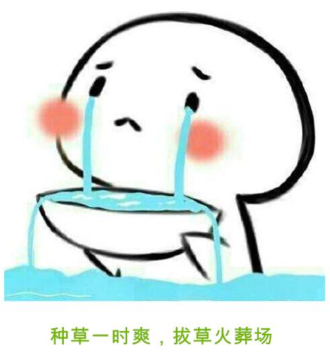 网红眼药水危害,网红眼药水值不值得买