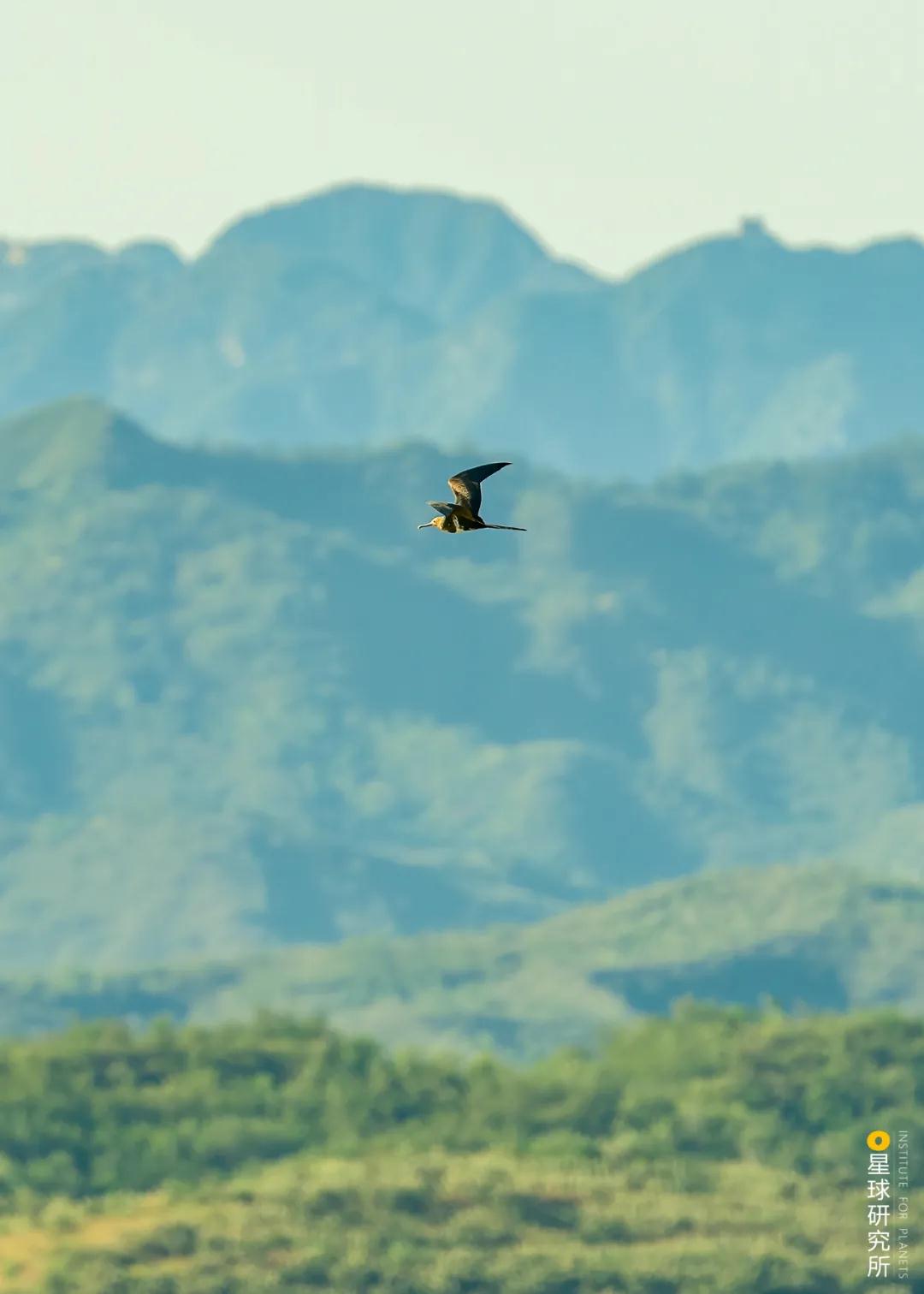 林草领域知识图谱,林草科普专业术语