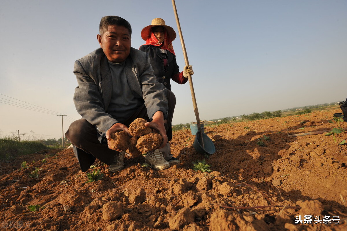 重阳节是怎么样的说法,九九重阳节阴天有什么说法吗