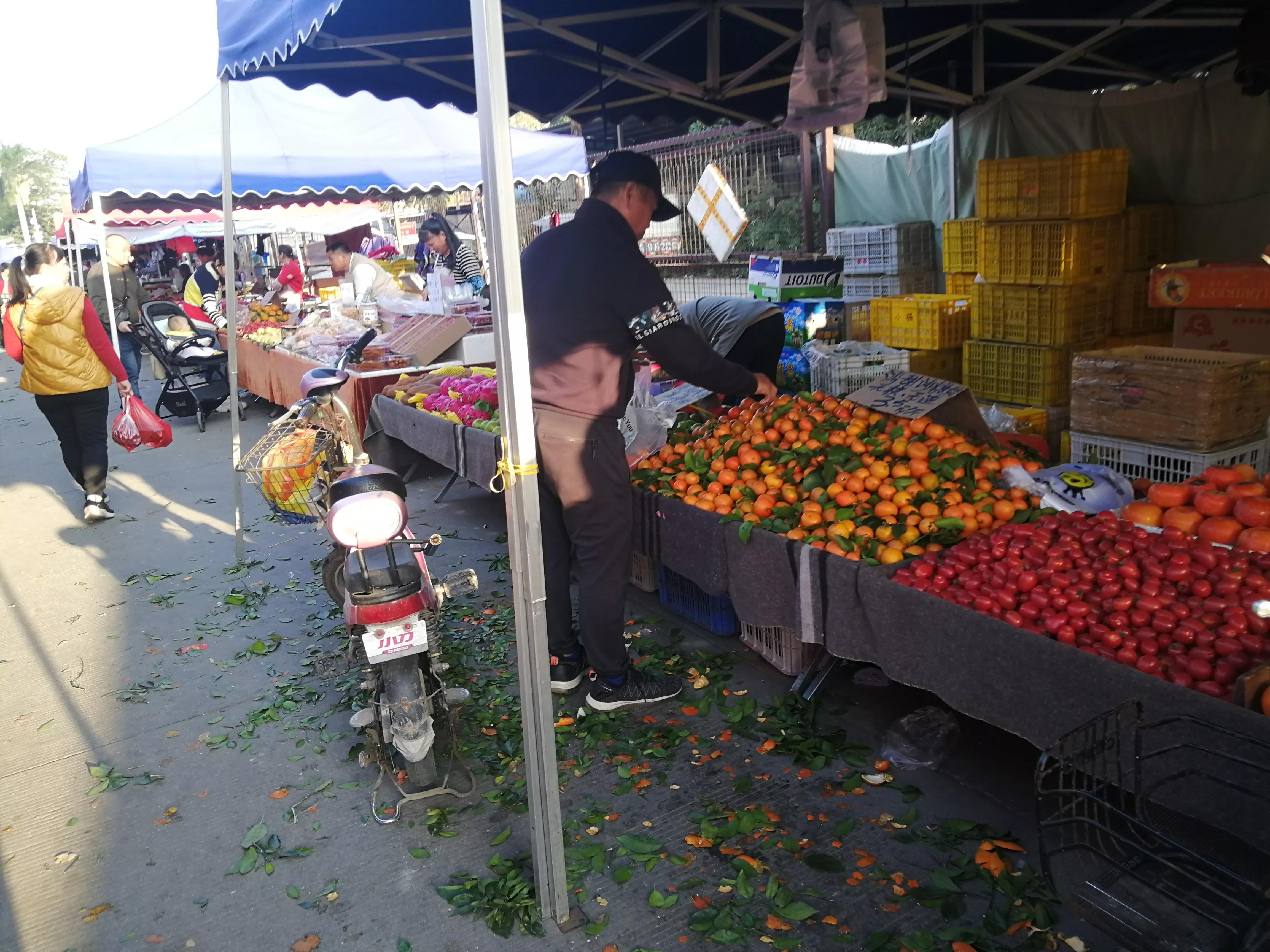 地铁4号线美丽乡村东涌,地铁4号线沿路风景
