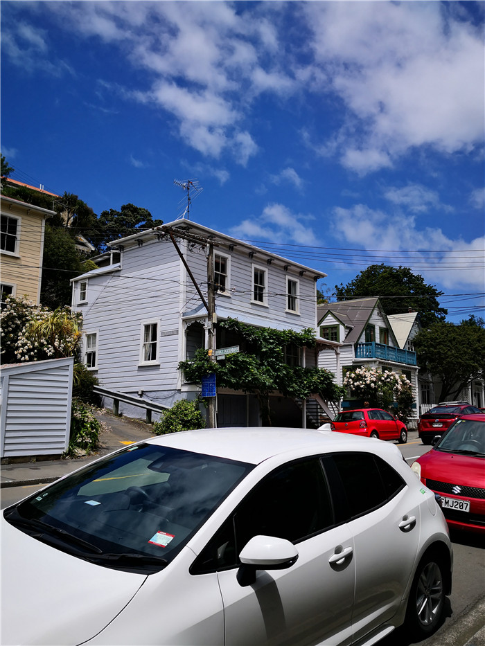 新西兰总理府前吃素食