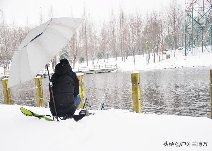 冬季钓鲫鱼红虫和虾饵哪个好,冬季夜钓鲫鱼用红虫钓鲫鱼怎么样