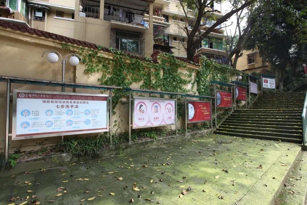 沙坪坝最好的中学校,沙坪坝区初中学校排名