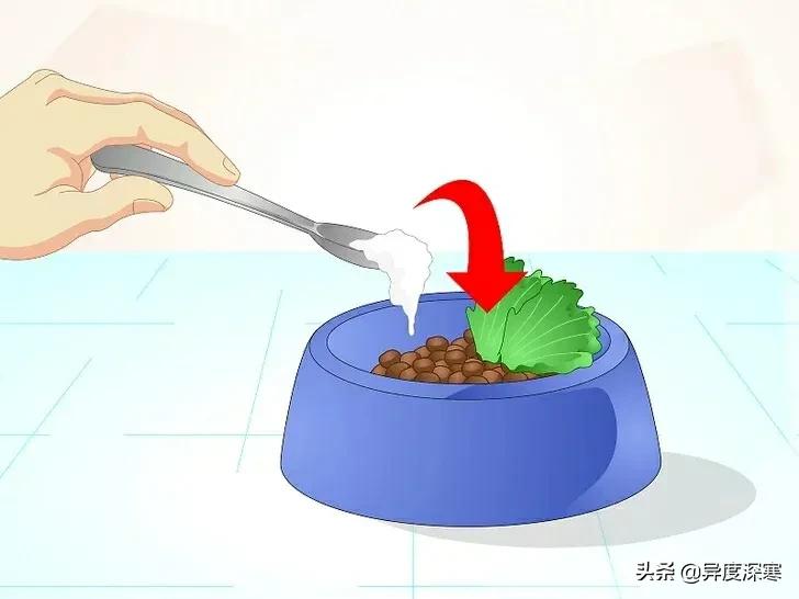 狗狗软便的解决方法,改善狗狗软便最有效的东西