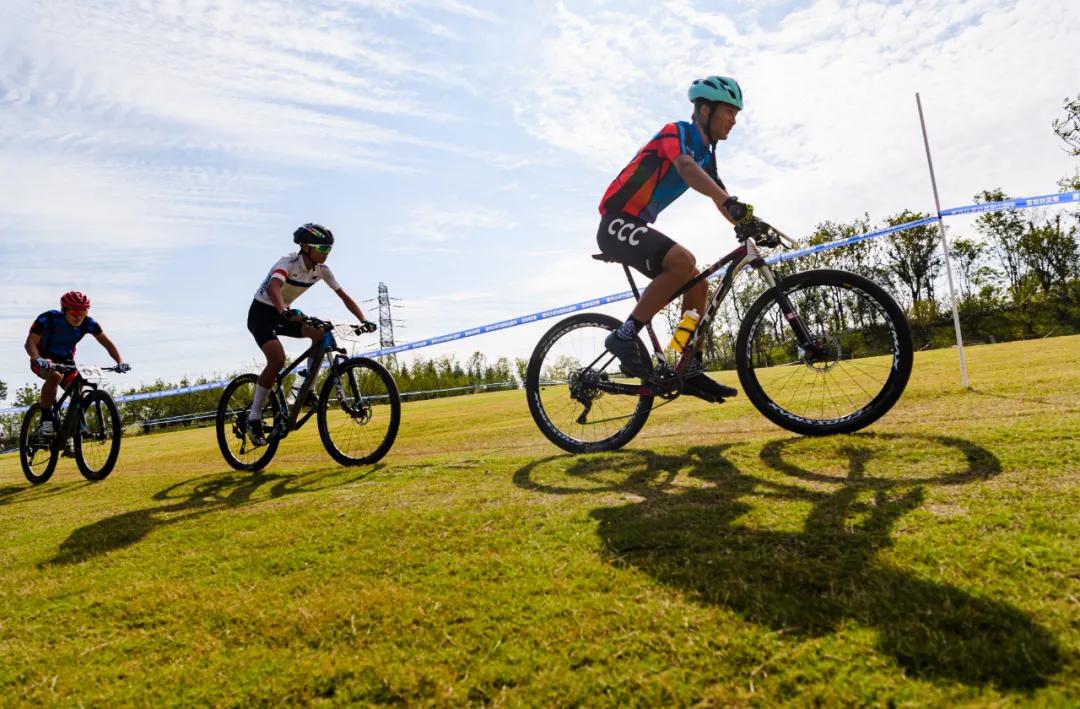 国家网信办处置违法账号,国家网信办违法查处