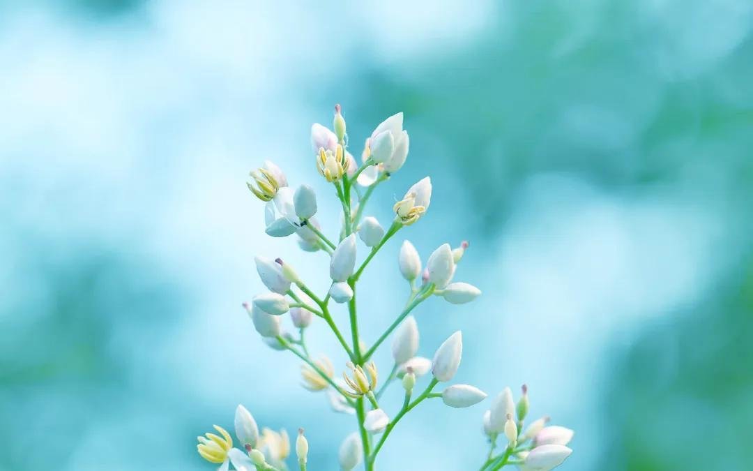 情绪稳定是成年人顶级的修养,情绪稳定的魅力